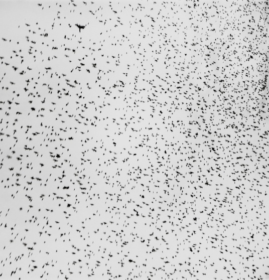 Graciela Iturbide 18