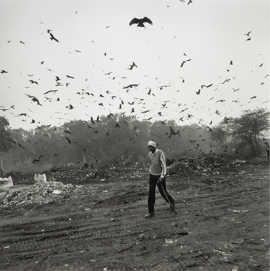 Graciela Iturbide31